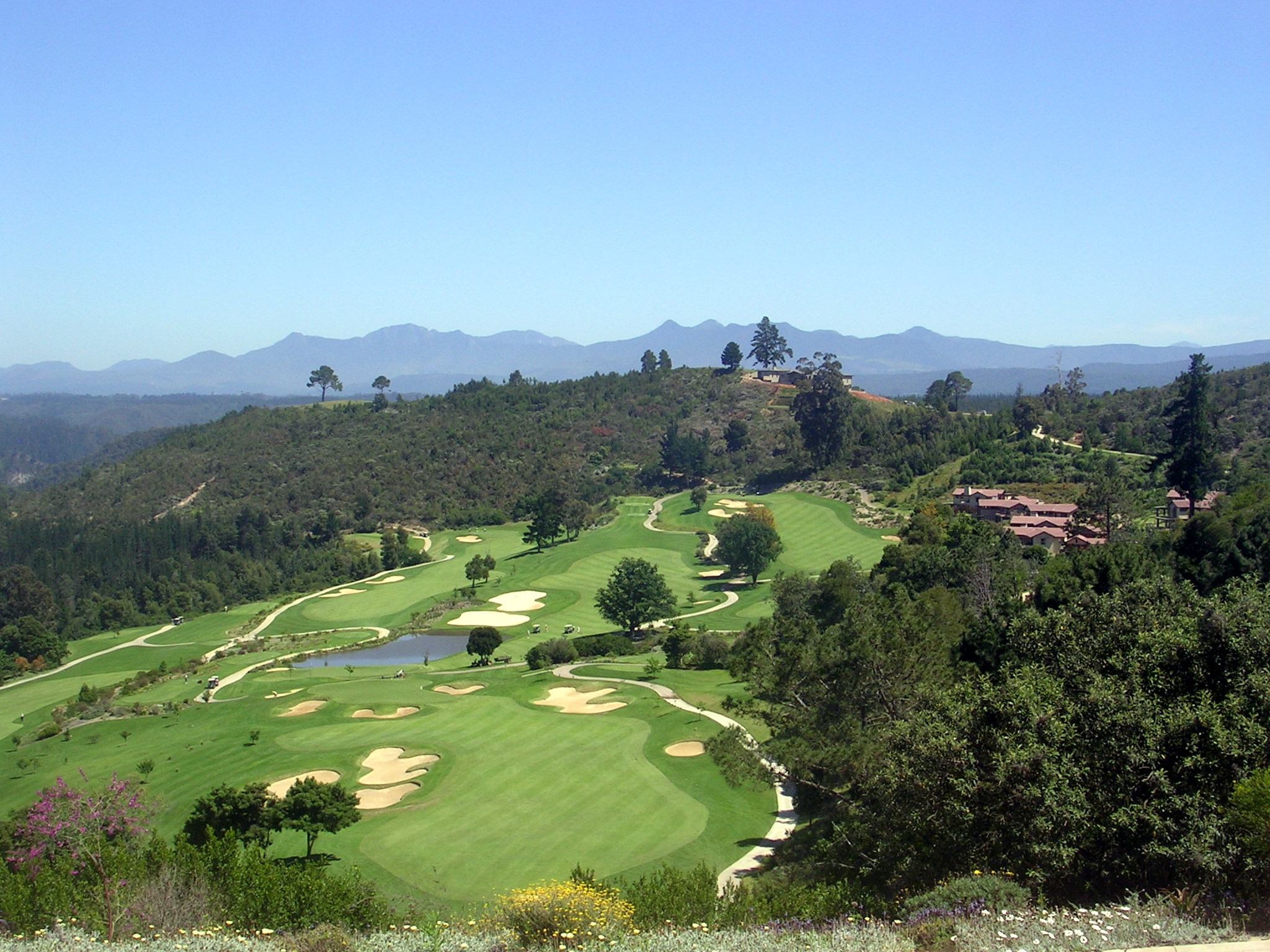 Ginny Golding Golf
