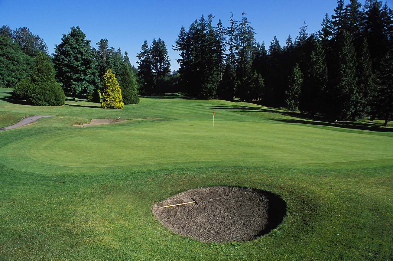 Ginny Golding Golf